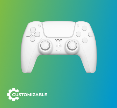 Featured Controller - PS5 + PC Custom Controller